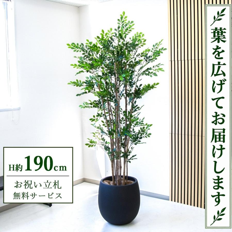 ☆立札無料☆【すぐ飾れる】 フェイクグリーン 人工観葉植物 トネリコ 