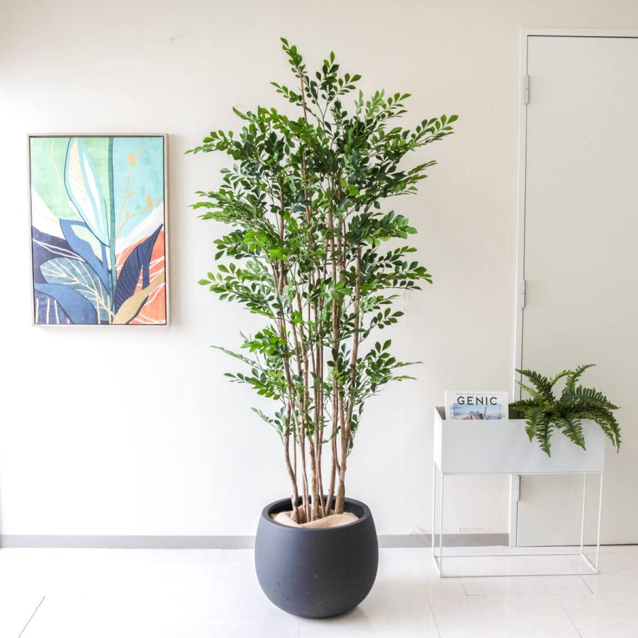 【送料無料】大型　人工観葉植物 人工植物 インテリア 造花 鉢植え 装飾用 フェイクグリーン トネリコ H約180cm 鉢付き / 観葉植物