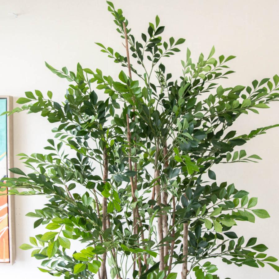 フェイクグリーン トネリコ H約180cm 鉢付き / 観葉植物