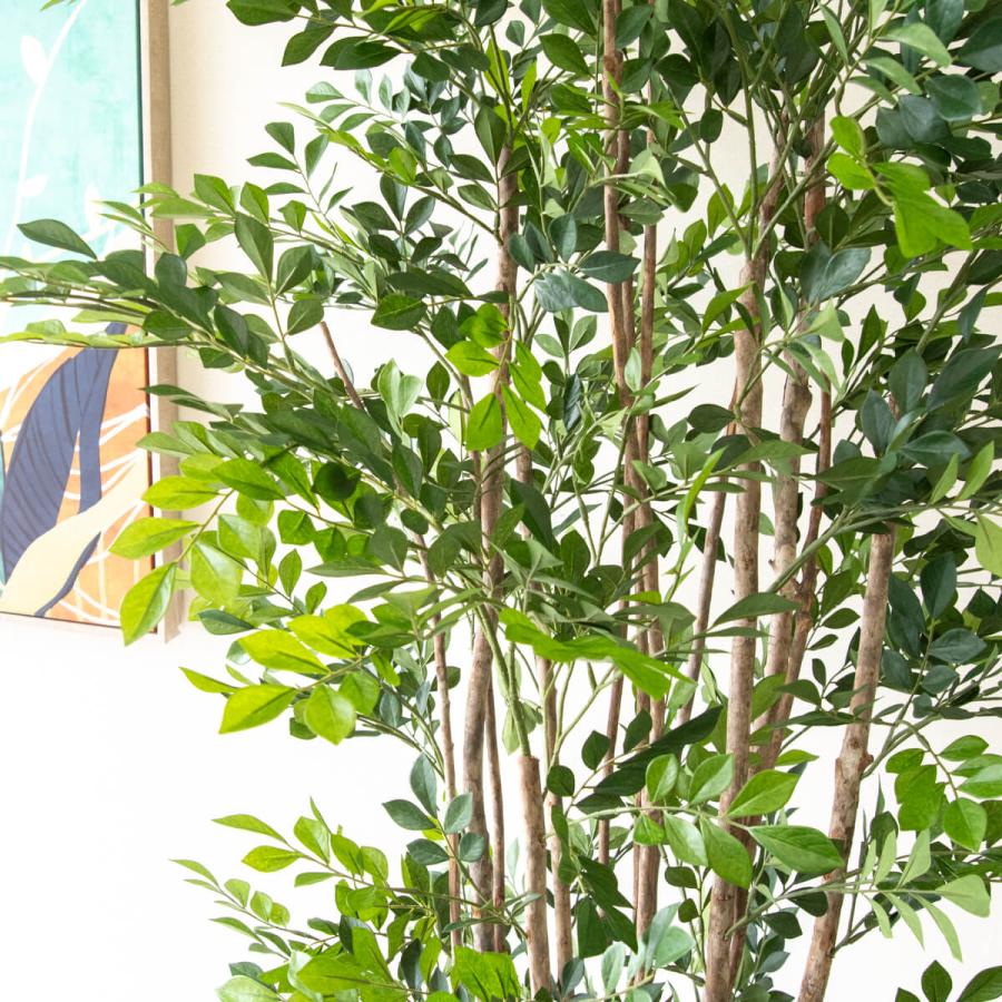 ☆立札無料☆【すぐ飾れる】 フェイクグリーン 人工観葉植物 トネリコ