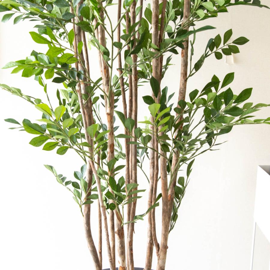 ☆立札無料☆【すぐ飾れる】 フェイクグリーン 人工観葉植物 トネリコ