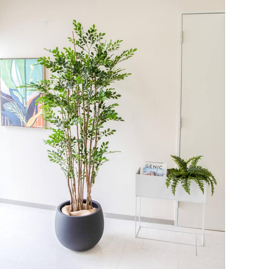 フェイクグリーン トネリコ H約180cm 鉢付き / 観葉植物