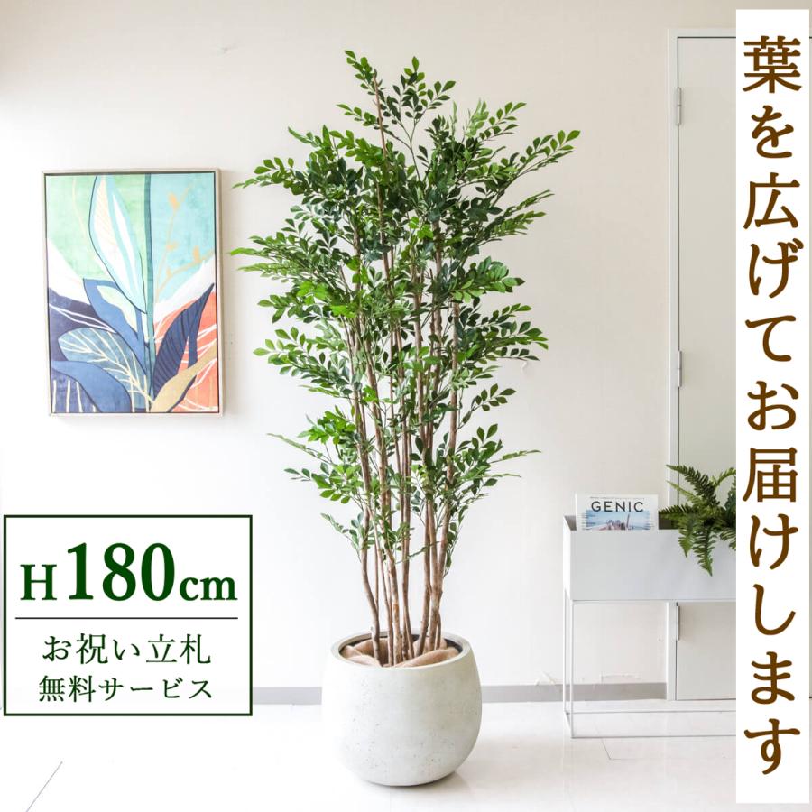 人工観葉植物 約180cm