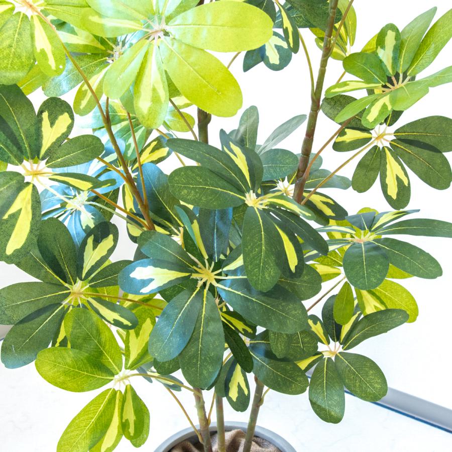フェイクグリーン シェフレラ H約155cm 鉢付き / 観葉植物