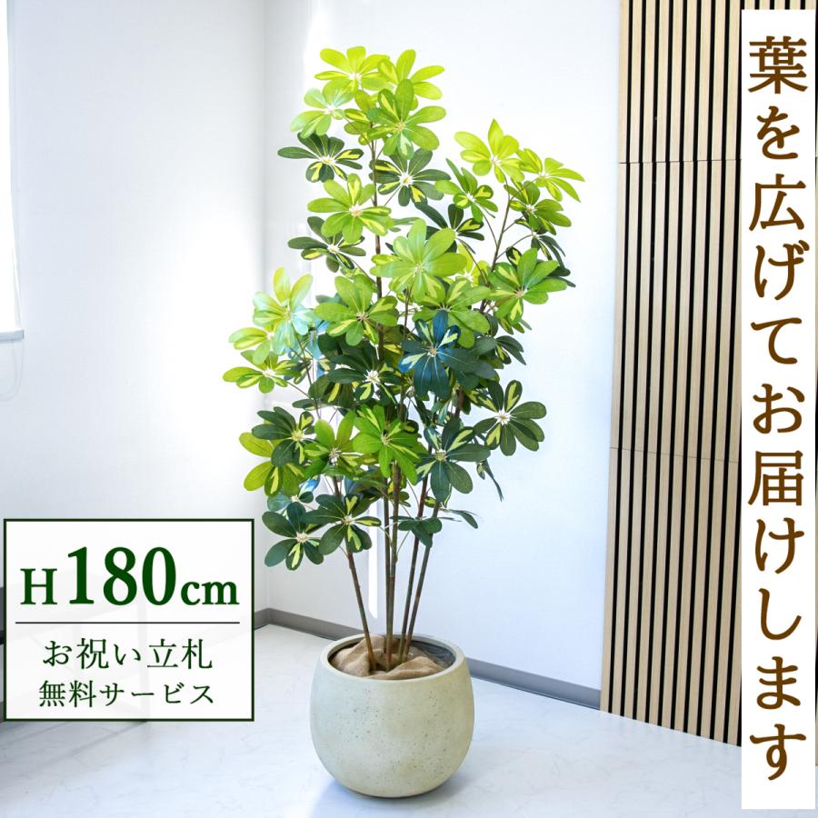 ☆立札無料☆【すぐ飾れる】 フェイクグリーン 人工観葉植物