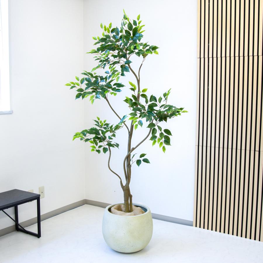 ★立札無料★【すぐ飾れる】 フェイクグリーン 人工観葉植物 フィカス ベンジャミン 190cm  大型 鉢付き / 法人・開店祝い 店舗・オフィス装飾_1
