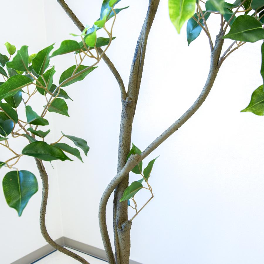 ★立札無料★【すぐ飾れる】 フェイクグリーン 人工観葉植物 フィカス ベンジャミン 190cm  大型 鉢付き / 法人・開店祝い 店舗・オフィス装飾_3