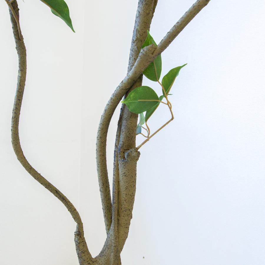 ★立札無料★【すぐ飾れる】 フェイクグリーン 人工観葉植物 フィカス ベンジャミン 190cm  大型 鉢付き / 法人・開店祝い 店舗・オフィス装飾_5