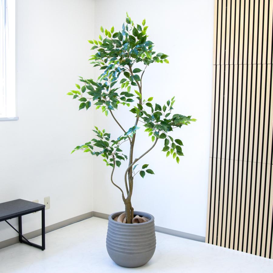 ★立札無料★【すぐ飾れる】 フェイクグリーン 人工観葉植物 フィカス ベンジャミン 190cm 大型 鉢付き / 法人・開店祝い 店舗・オフィス装飾_1