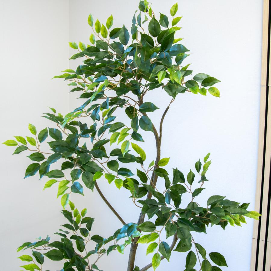 ★立札無料★【すぐ飾れる】 フェイクグリーン 人工観葉植物 フィカス ベンジャミン 190cm 大型 鉢付き / 法人・開店祝い 店舗・オフィス装飾_2