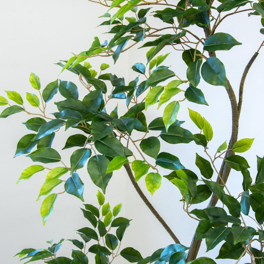★立札無料★【すぐ飾れる】 フェイクグリーン 人工観葉植物 フィカス ベンジャミン 190cm 大型 鉢付き / 法人・開店祝い 店舗・オフィス装飾_4