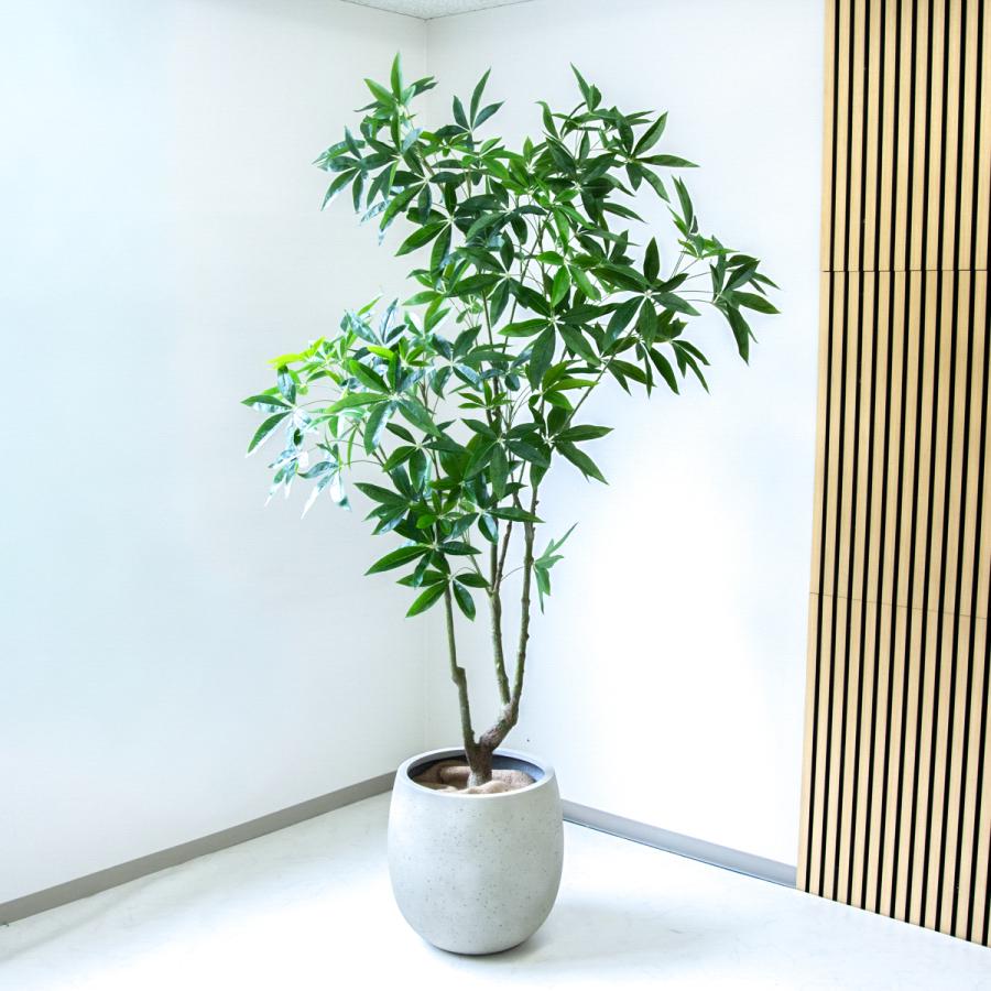 ☆立札無料☆【すぐ飾れる】 フェイクグリーン 人工観葉植物 パキラ 