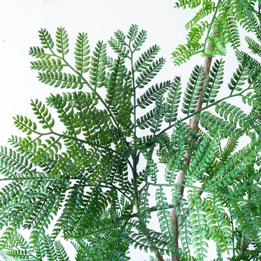フェイクグリーン エバーフレッシュ H約210cm 鉢付き / 観葉植物
