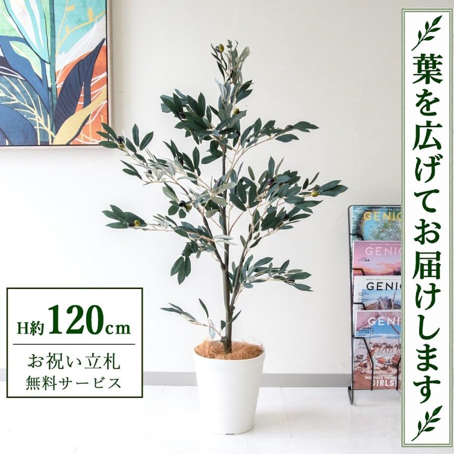 ☆立札無料☆【すぐ飾れる】 フェイクグリーン 人工観葉植物 オリーブ 