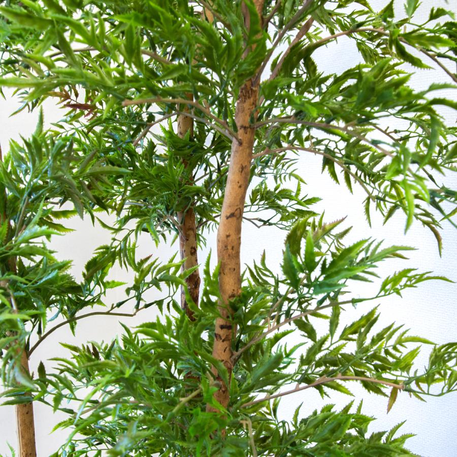 ☆立札無料☆【すぐ飾れる】 フェイクグリーン 人工観葉植物 タイワン 
