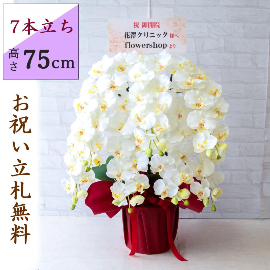 造花 胡蝶蘭/白(ホワイト)/7本立ち/赤ラッピング/お祝い花 開店