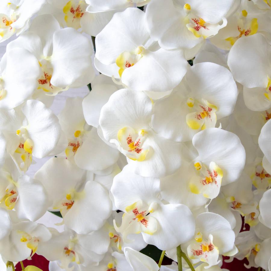 造花 胡蝶蘭/白(ホワイト)/7本立ち/赤ラッピング/お祝い花 開店 開業