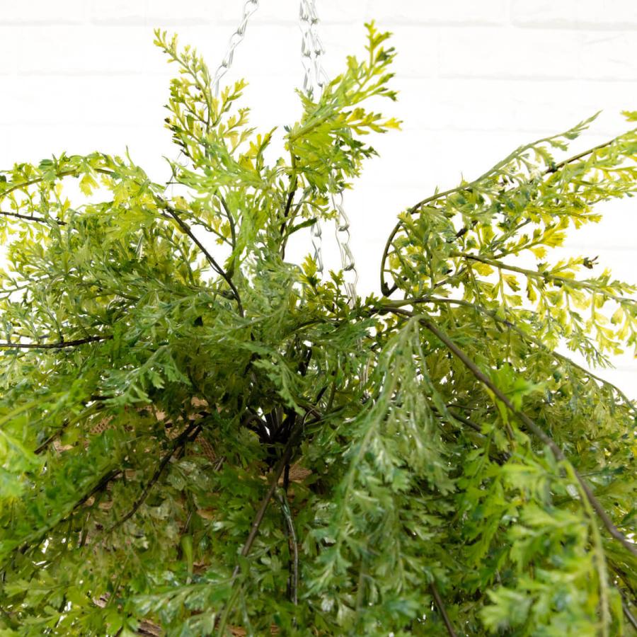 Pwa008 フェイクグリーンハンギングバスケット レザーファンロングバイン 大きめサイズ バスケット吊りカゴ ハンギングアレンジメント インテリア おしゃれ Pwa008 0101pp Shop Yahoo 店 通販 Yahoo ショッピング