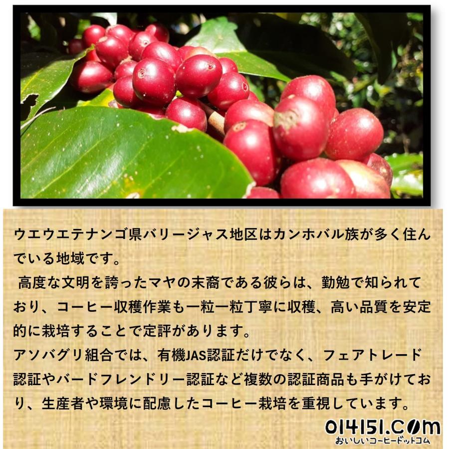 014151.com コーヒー豆 グアテマラ 無農薬無化学肥料栽培 Q
