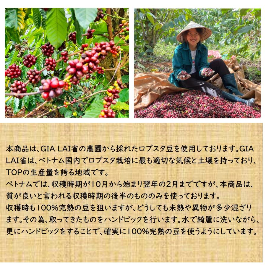 014151.com（おいしいコーヒードットコム） コーヒー豆 ベトナム産