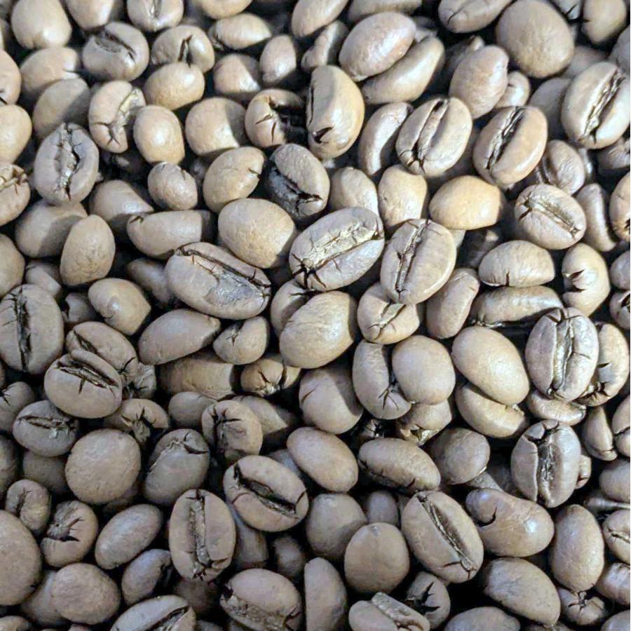 014151.com コーヒー豆 ベトナム産 ナチュラルファインロブスタ