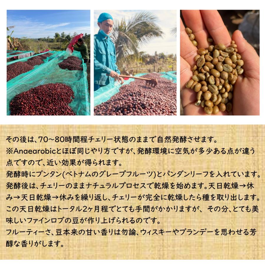 014151.com（おいしいコーヒードットコム） コーヒー豆 ベトナム産