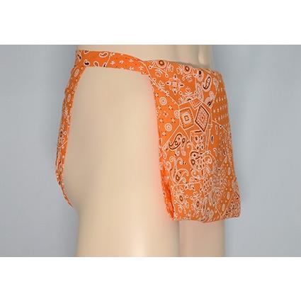 四谷越中　ペイズリー　オレンジ | 