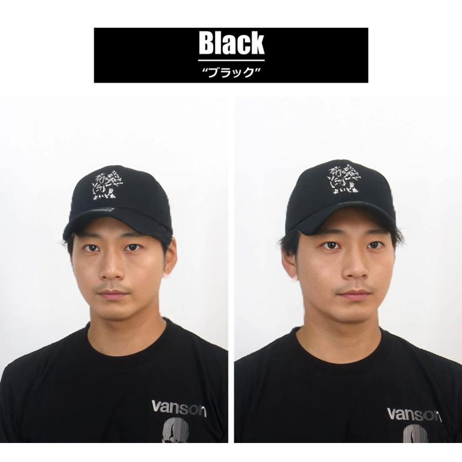 【未使用】 キャップレス 株主優待 100周年記念品 新品未使用 パイロット100周年 限定 株主優待セット キャップ