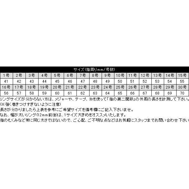 ポイント2倍!!ファーストアローズ サークル of センターリング FIRST ARROW'S r-238の画像