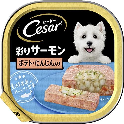シーザー 成犬用 サーモン風味 ポテトとにんじん入り 100g×24個 ドッグフードウェット