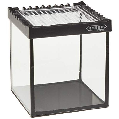 寿工芸 ヒュドラケース1517