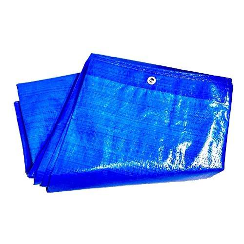 ブルーシート＃3000 10ｍ×10ｍ （1枚入） 厚手 タイプ ハトメ付き 建築資材 土木資材 備蓄資材 災害対策 台風対策 大雨対策 屋根保護 雨養生