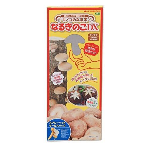 カネコ種苗 しいたけ栽培セット 原木しいたけ栽培セット なるきのこDX