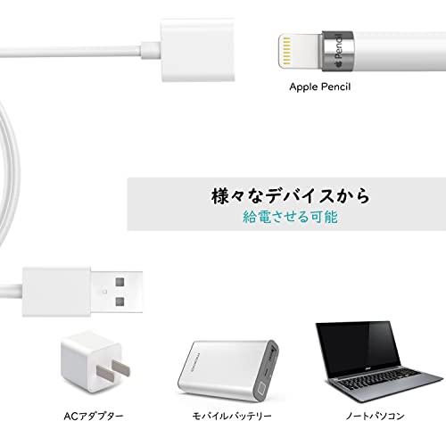 ApplePencil 充電ケーブル ATiC 2枚セット 長さ0.5M アップルペンシル第1世代専用 チャージャーケーブル Apple Pencil｜0312｜02