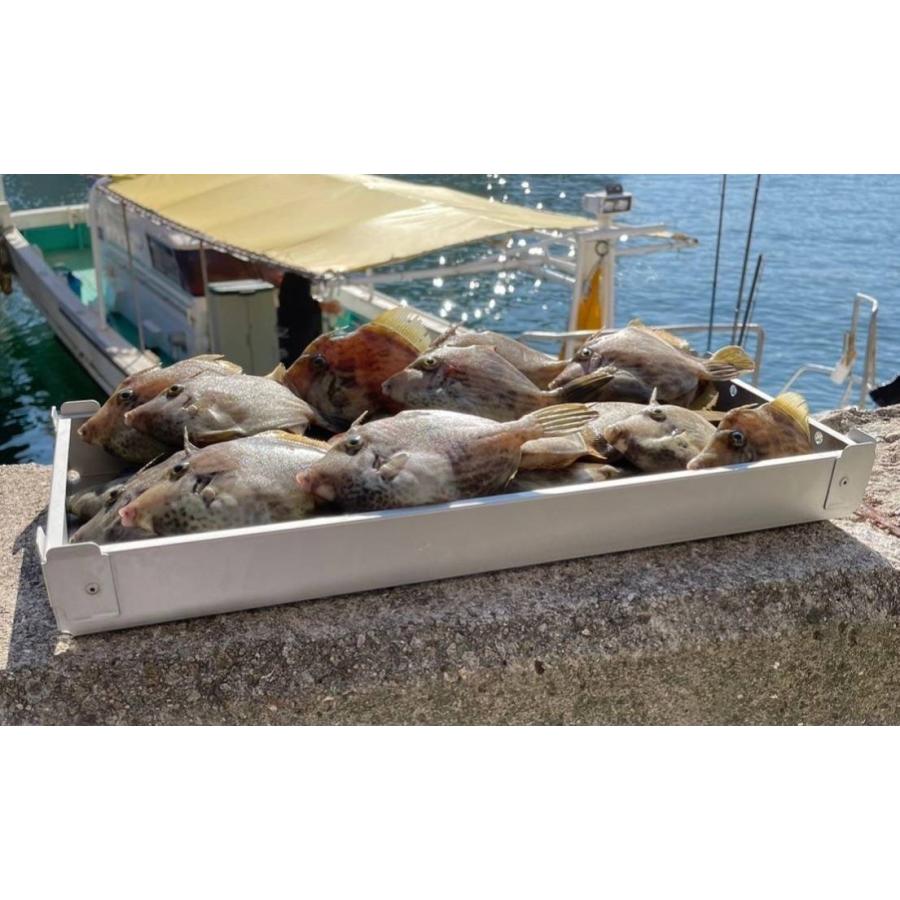 保冷用マルチトレー Hierude ひえるでぇ(480サイズ) アルミ製トロ箱