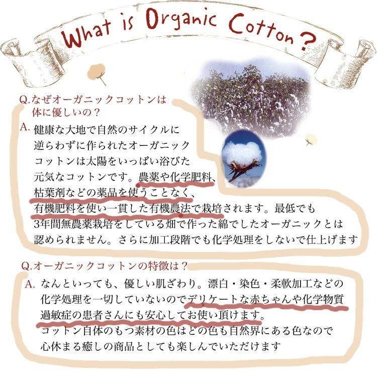おむつケーキ 男の子 女の子 日本製 オムツケーキ パンパース ムーニー ガーゼ 豪華 高級 オーガニック おむつケーキ ZY1489803411(13000円)