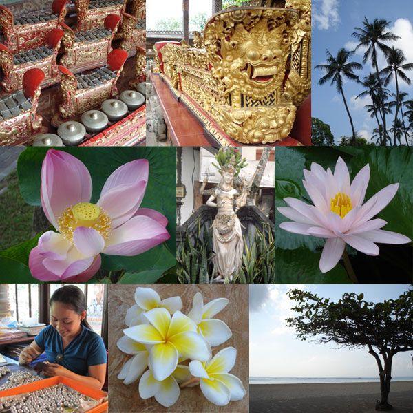 ガムランボール ハーモニー ボール クニンガンタイプ 06aka007 06xy ヤフー店 通販 Yahoo ショッピング