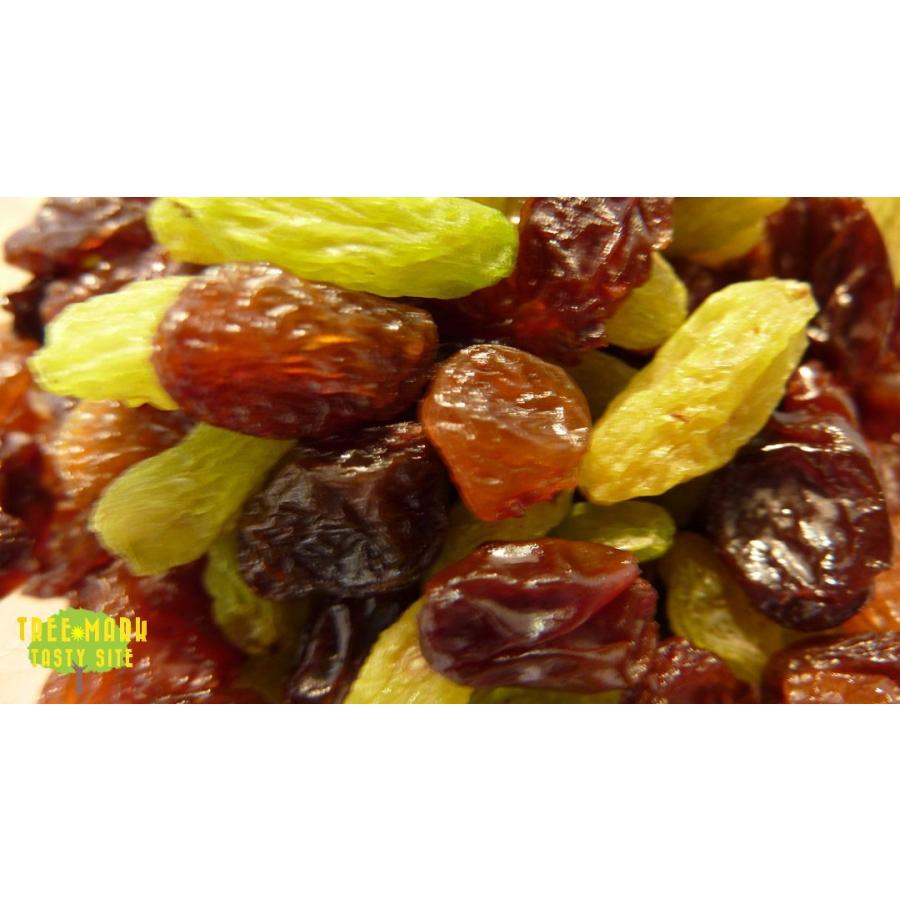 レーズンミックス500g : ナッツとフルーツのツリーマーク - 通販