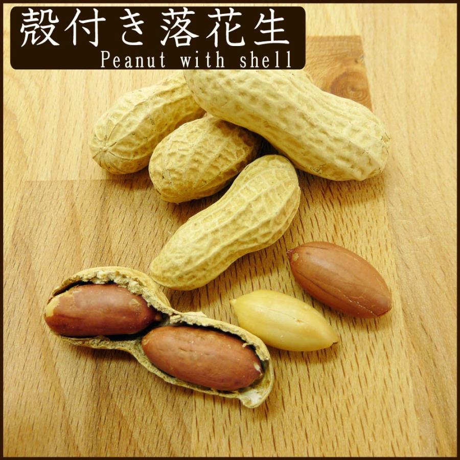 殻付落花生 500g ピーナッツ 送料無料 食塩無添加 : ナッツとフルーツ