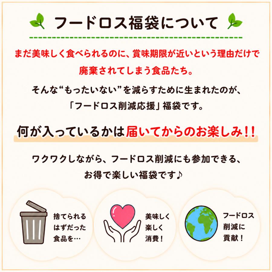 在庫限り】 訳あり福袋 フードロス削減 おやつ ランダムセット お