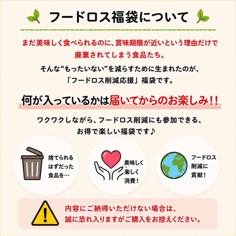 在庫限り】 訳あり福袋 フードロス削減 おやつ ランダムセット お