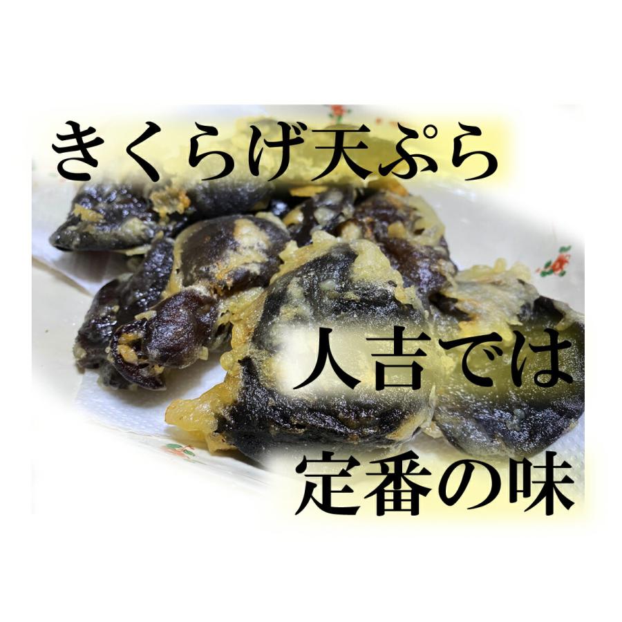 国産 生きくらげ 1kg 人吉産 木耳 キクラゲ みみなば たっぷり1キロ