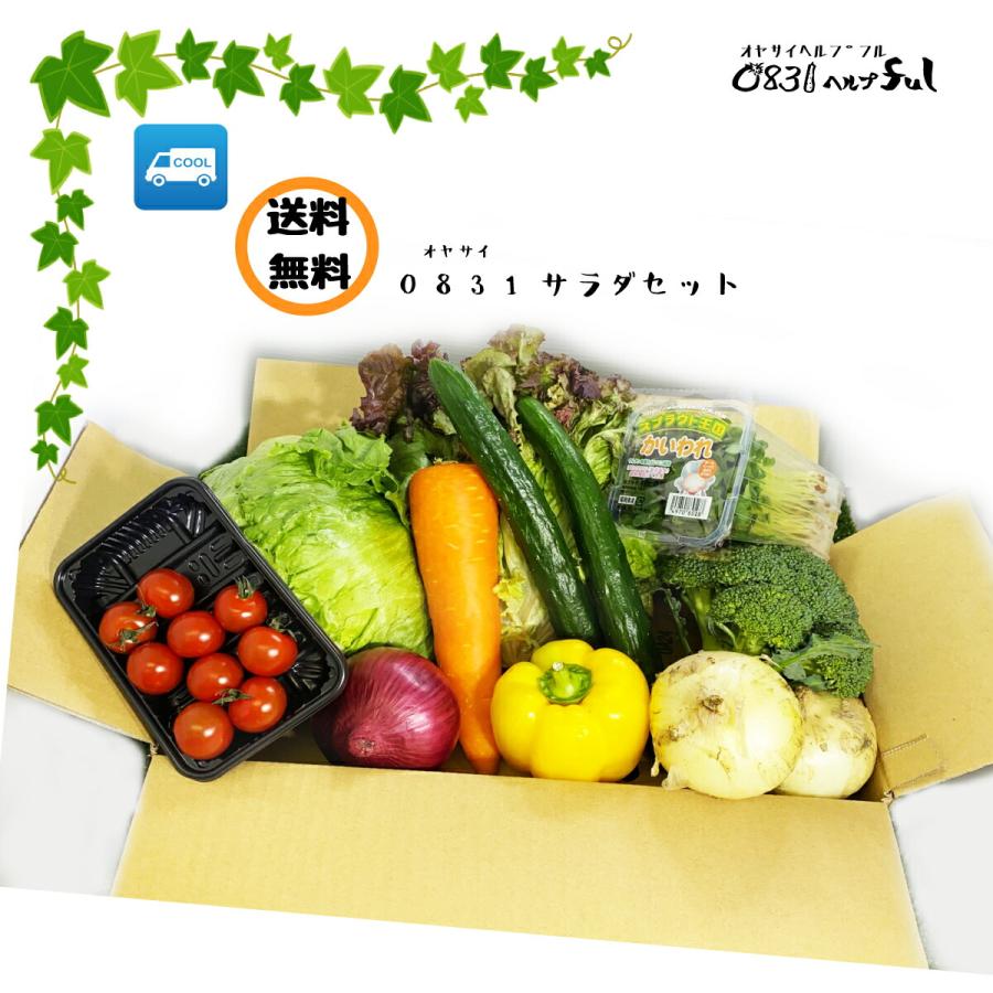 新鮮 お野菜 【SALE／81%OFF】 サラダセット 10品以上 送料無料 九州の市場から新鮮野菜をお届け 感謝価格 野菜セット
