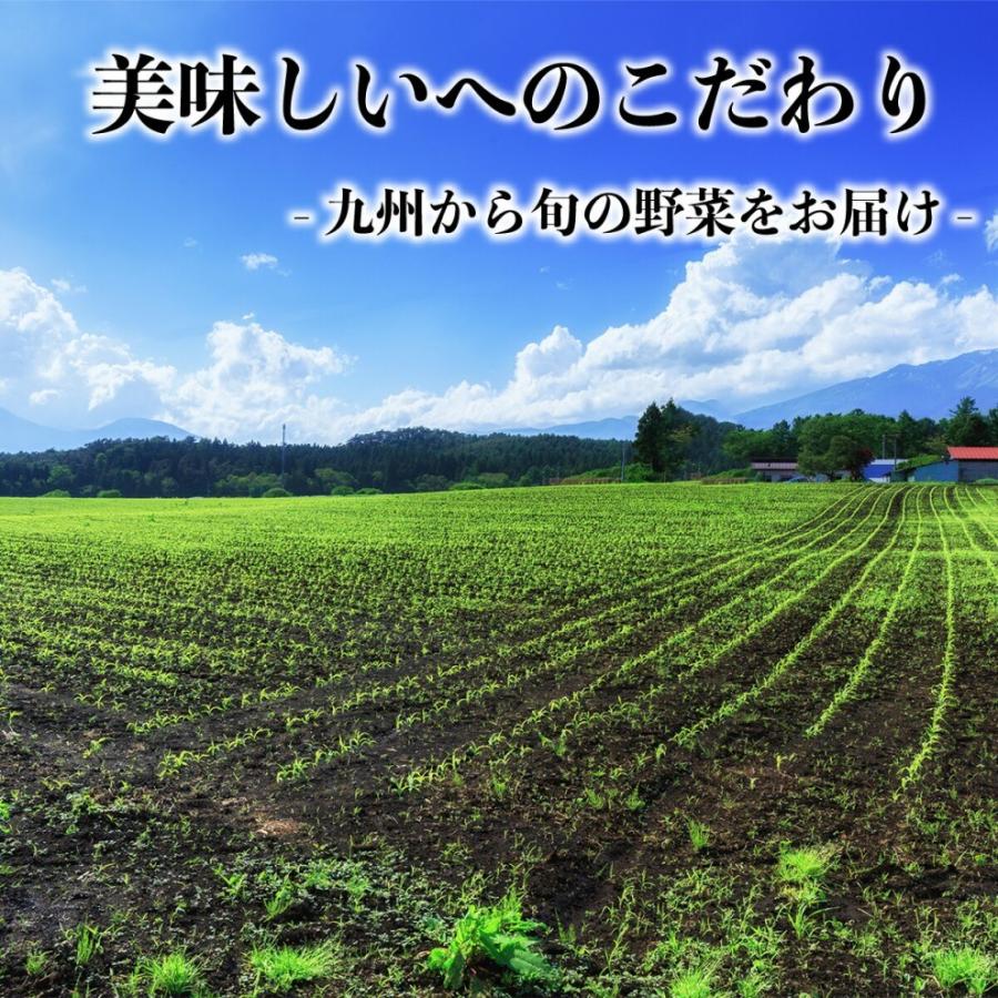 新鮮 野菜セット 九州野菜8品 +おまけのお野菜4〜6品 九州の市場から直送 野菜詰め合わせ 【九州8品】 :2020042602:0831ヘルプYahoo!店 - 通販 - Yahoo!ショッピング 新鮮 野菜セット 九州野菜8品 +おまけのお野菜4〜6品 九州の市場から直送 野菜詰め合わせ 【九州8品】 :2020042602:0831ヘルプYahoo!店 - 通販 - Yahoo!ショッピング