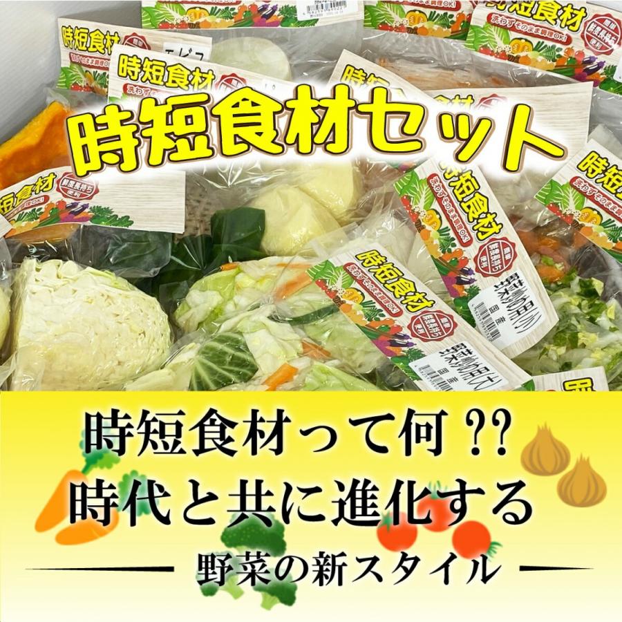しんさん　野菜セット 金曜出荷便 季節の野菜セット8〜10品目 80サイズ | ぽんがる有機農園
