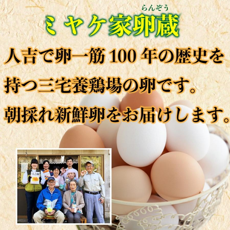 【朝採れ卵6個】熊本県 人吉市 三宅屋卵蔵｜0831helpful｜04