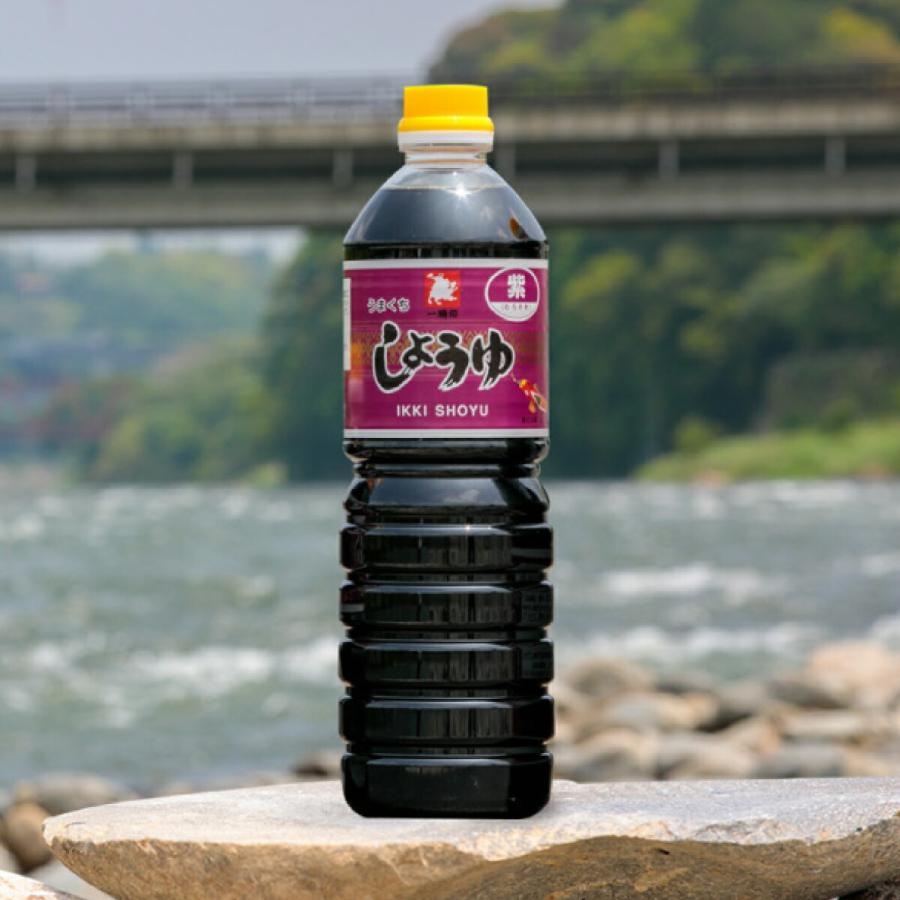 新作揃え 九州 熊本県 人吉 球磨 緑屋本店