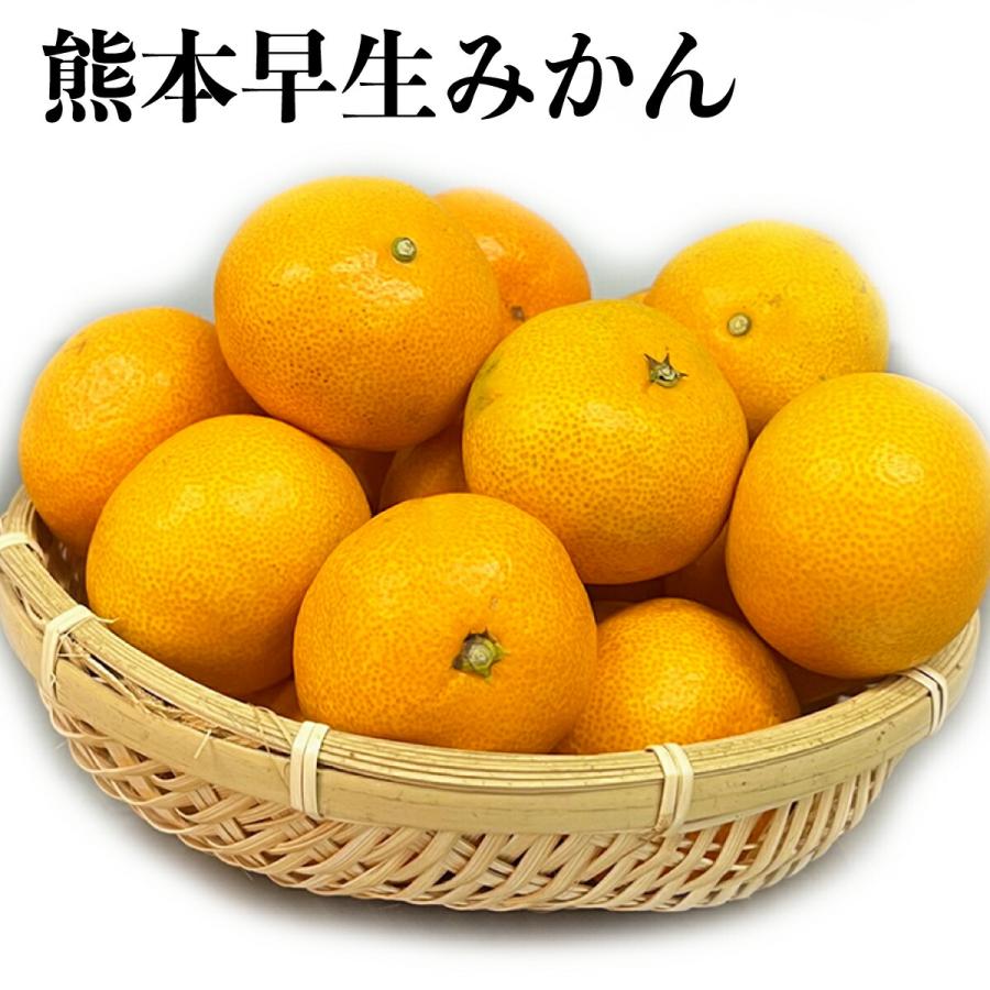 初物‼️極早生みかん 秀品＋家庭用込み 小玉8kg 極早生 みかん 」約6kg