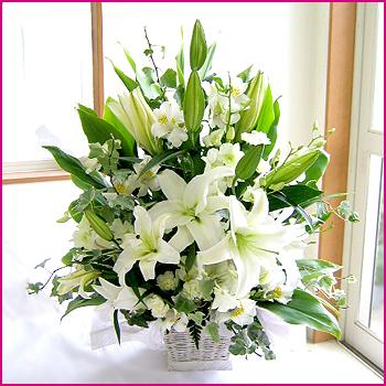 オープニング 大放出セール 記念日 お祝い お礼 ギフト プレゼント 生花 フラワー フラワーアレンジメント ホワイトリリー 開店祝い お見舞い 結婚記念日 出産祝い お誕生日 生花 Agats Co Ao