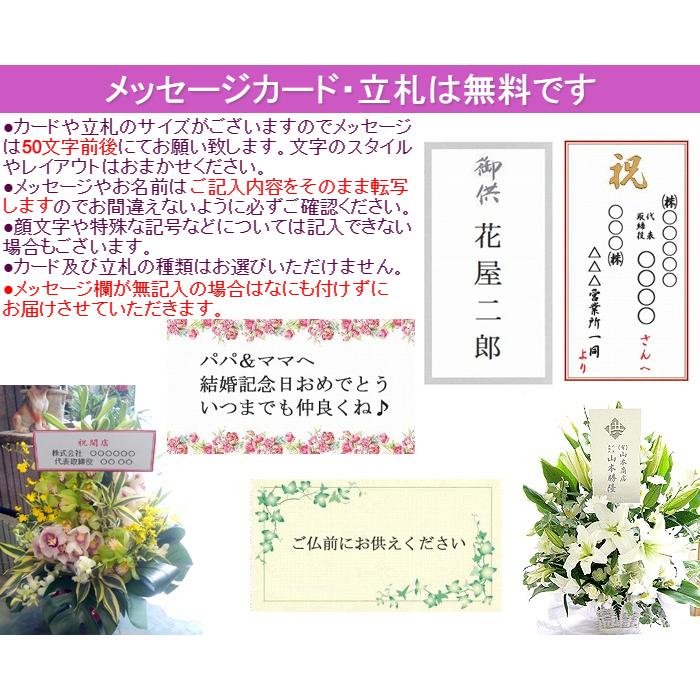 お供え 花 アレンジメント 供花 法事 枕花 弔事 一周忌 命日 花かご 色合いを選べるお供えアレンジメント【常温便・クール便】｜087-ie｜09